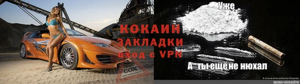 прущие грибы Новокубанск