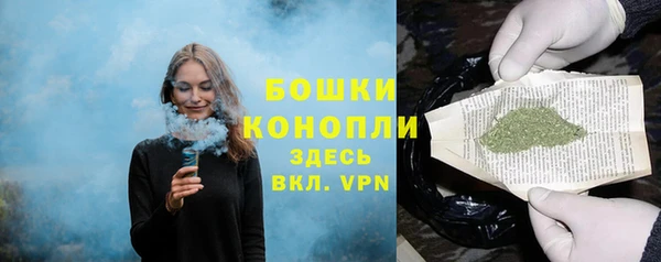 прущие грибы Новокубанск