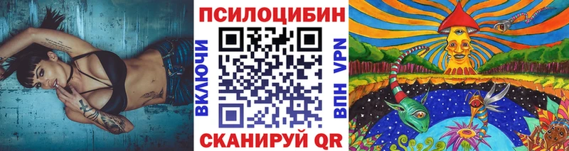 Галлюциногенные грибы Psilocybe  Белинский 